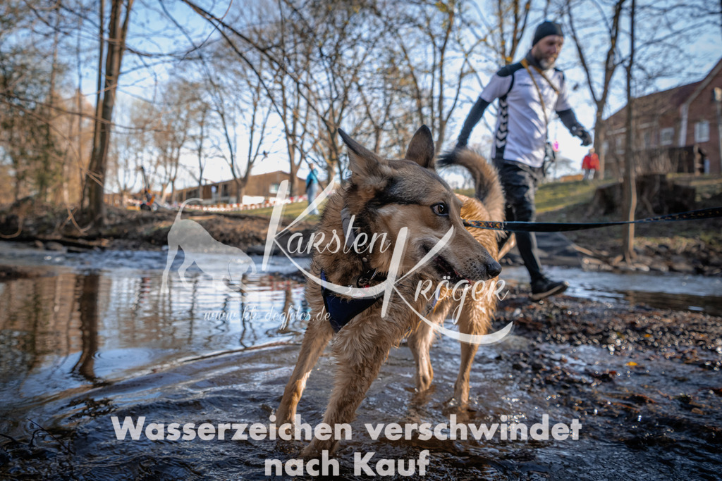 0816_ZZ90335 | kk-dogfotos