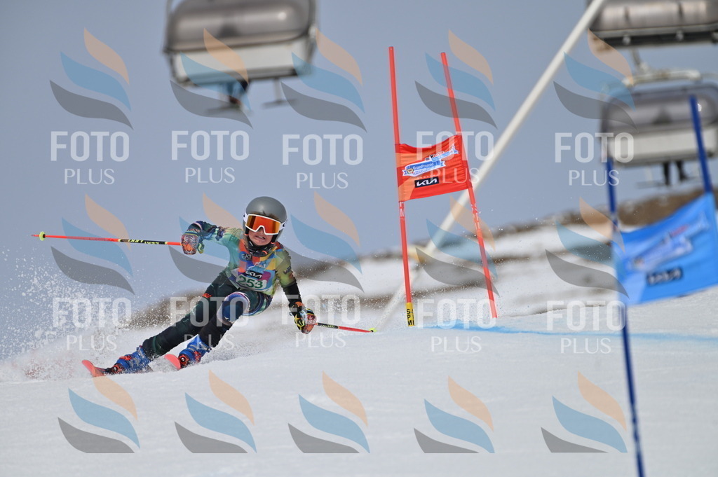 BGV_5007 | holidayphoto