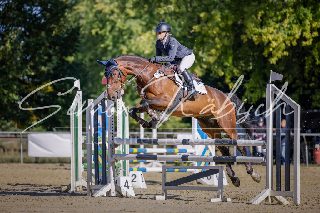 20250906-_3LI3194 | Tierfotografie Pferde, Hunde, Katzen, Haustiere.
Turnierfotografie Reitturniere, Reiten, Springreiten, Dressur in Hanau, dem Main-Kinzig-Kreis und dem Rhein-Main- Gebiet um Frankfurt