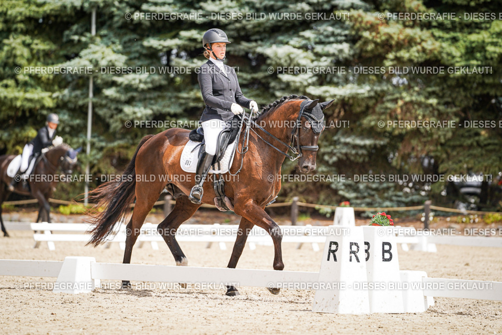 DSC03479 | Pferdegrafie