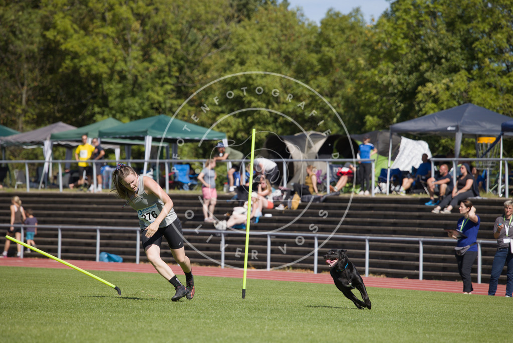 0L8A6744 | Hundefotografie, Tierfotograf, Pfotenfotografie, Fotoshooting Hund, Hunde Portrait, Hundesport, Hundeportraits, Heideshooting, Hunde, Sportfotograf, Hundefotograf, Turnierhundsport, THS,  - Realisiert mit Pictrs.com