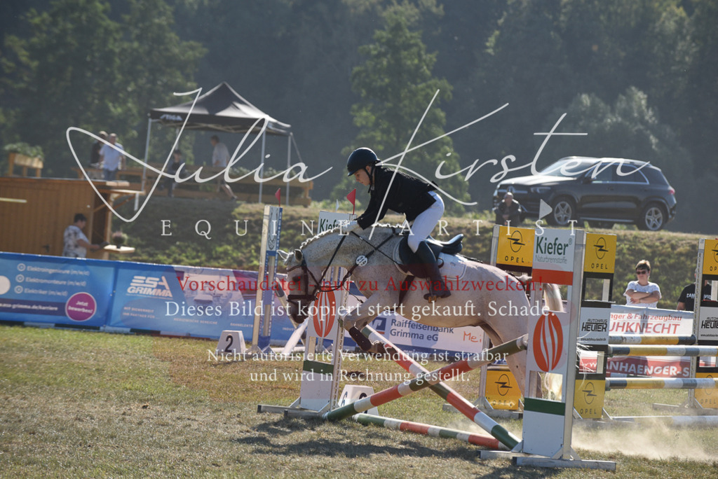 DSC_5876 | Pferde- und Turnierfotografie in Westsachsen. Pferdeportraits, Auftragszeichnungen und intuitive Kunst.