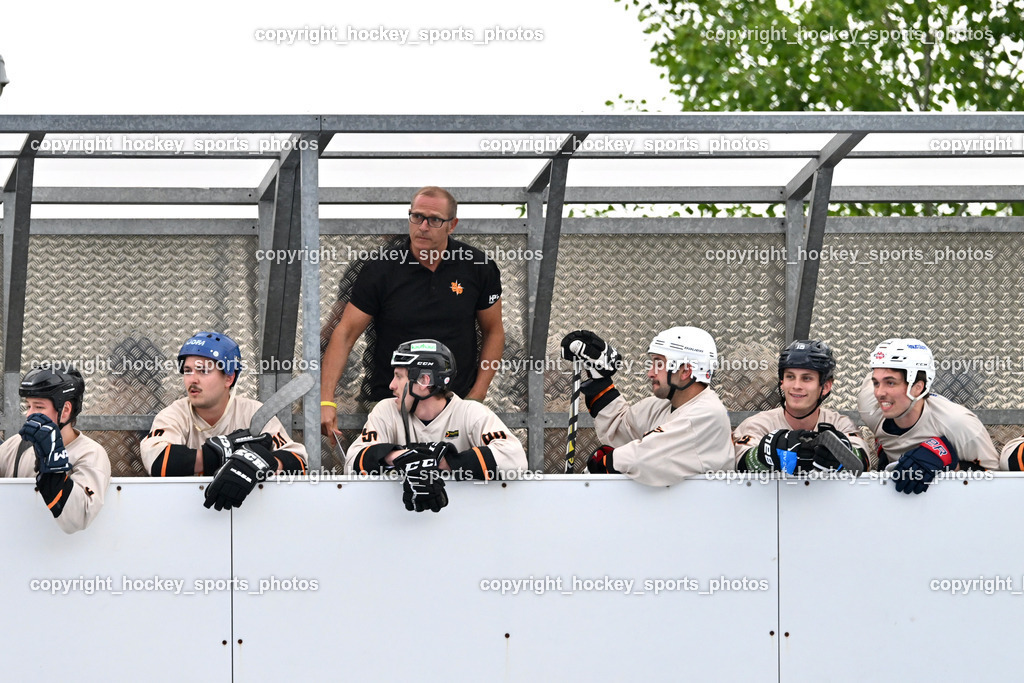 Carinthian Team Zehenthof vs. Ultras Spittal | Spielerbank Ultras Spittal, Headcoach Spittal Ultras Roland Schurian, Carinthian Team Zehenthof vs. Ultras Spittal, Carinthian Team Zehenthof vs. Ultras Spittal am 10.05.2026 in Villach (Alpen Arena ), Austria, (Photo by Bernd Stefan)
