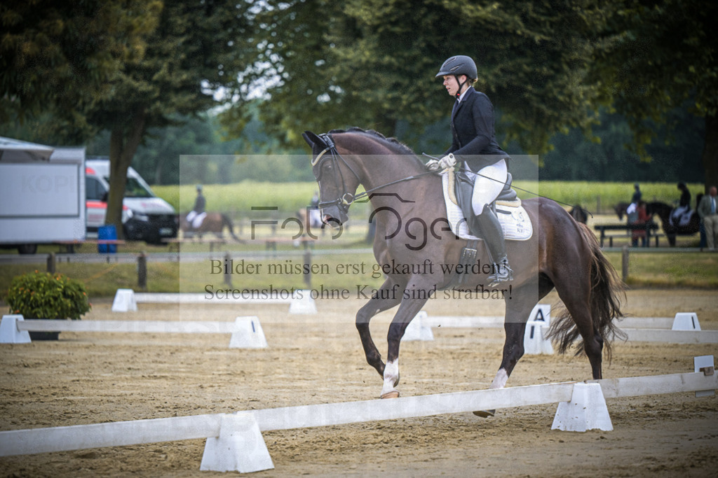 DOS_2303 | Entdecke hochwertige Reitturnierfotos von Foto Oger. Professionell, emotional und authentisch – jetzt Lieblingsmomente im Shop bestellen.Deutschlandweite Turnierfotografie. - Realisiert mit Pictrs.com