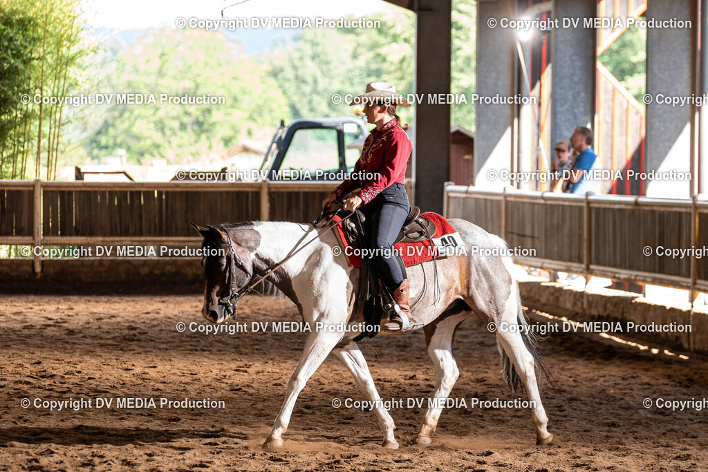 Erbach Tag 1-1020 | dv-media-shop - Realisiert mit Pictrs.com