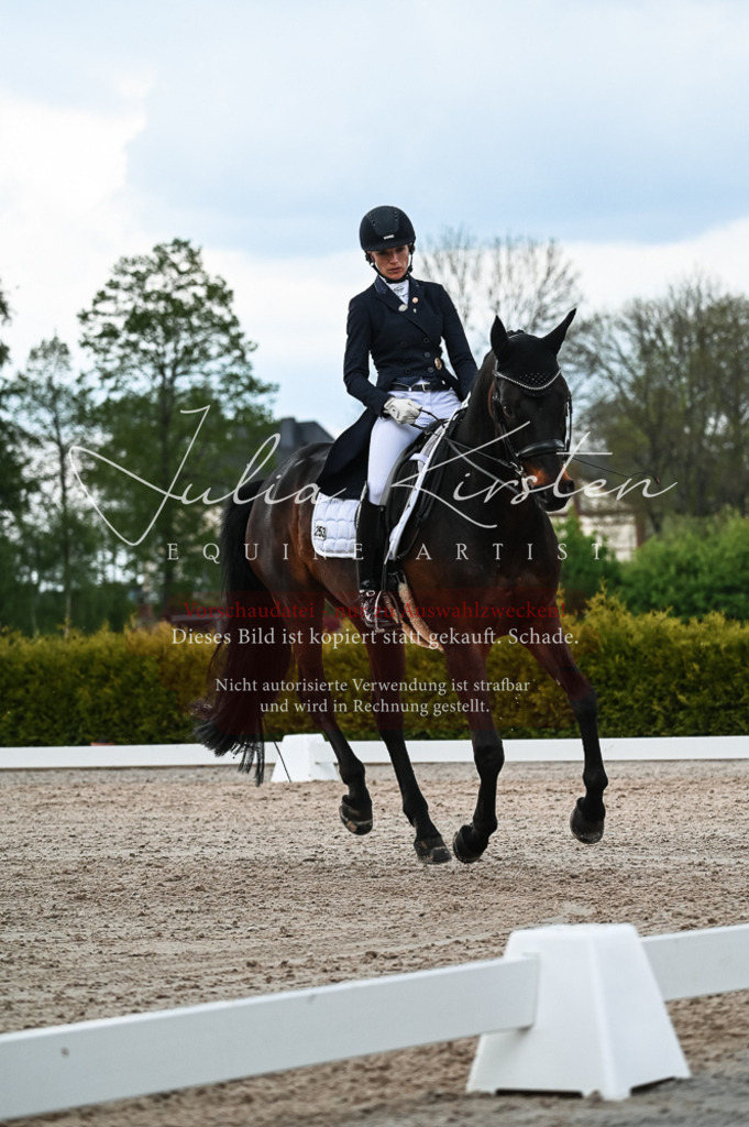 20230514_JK-Röhrsdorf-21-340 | Pferde- und Turnierfotografie in Westsachsen. Pferdeportraits, Auftragszeichnungen und intuitive Kunst.