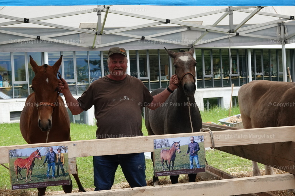 DSC04235 | Schwingen - Realisiert mit Pictrs.com