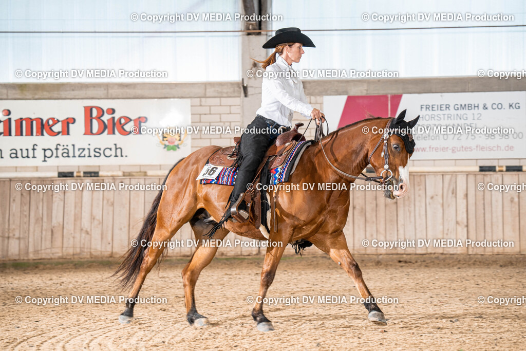 Zeiskam Tag 1-1092 | dv-media-shop - Realisiert mit Pictrs.com