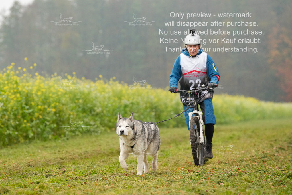 Visbeck_Sa_Scooter_Hc-95 | stephaniefillaphotographie - Realisiert mit Pictrs.com