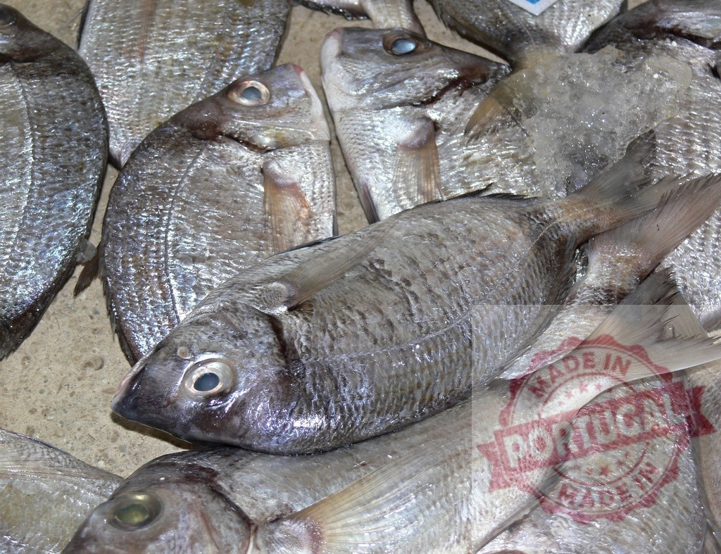Fresh sea bream fish selling at market stall on ice | Fresh sea bream fish displaying scales and gills on ice in a market - Realized with Pictrs.com