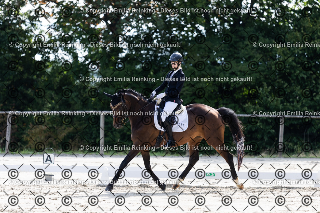 CL5A5700 | Emilia Reinking Fotografie - Realisiert mit Pictrs.com