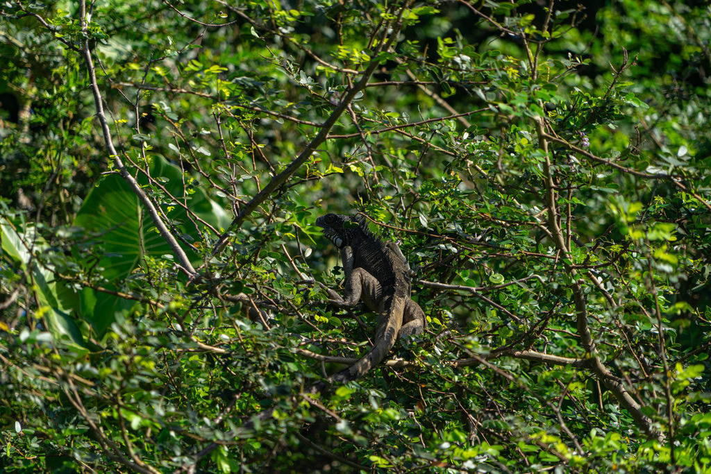 20251118-DeltaTour-0037 | paulependelt - Realisiert mit Pictrs.com