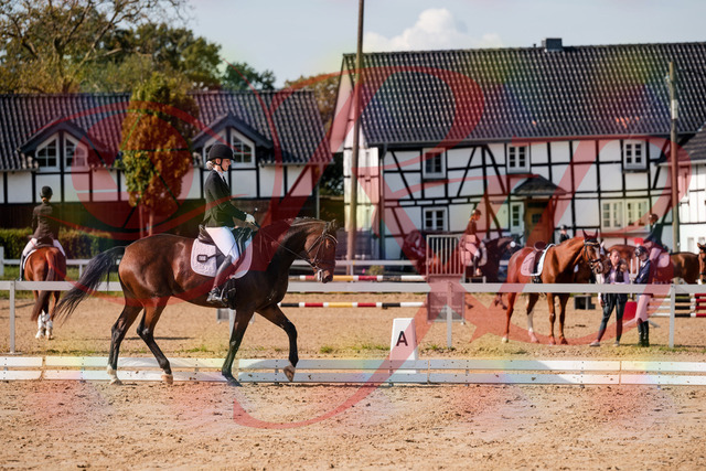 2026_10_03_Siefer-Hof_125533_Z63_62018401 | Professionelle Reitsport-, Turnier- und Eventfotografie von Robert Broda. Galerien mit ausgewählten und bearbeiteten Bildern direkt online ansehen und bestellen.