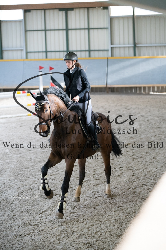 A7V01412 | Pferdefotograf