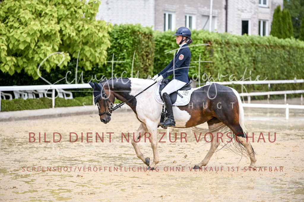Schugtsche-Aluta25-55.Dressurreiterprf.L1Tr-377 | Schugtsche Fotografie - Realisiert mit Pictrs.com