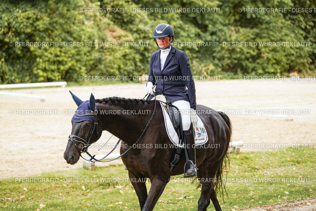 DSC01210 | Pferdegrafie