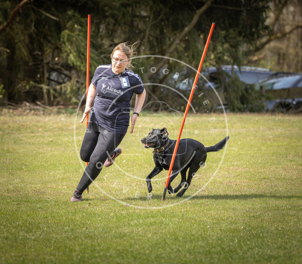 Pfotenfotografie_DV3A9847 | Hundefotografie, Tierfotograf, Pfotenfotografie, Fotoshooting Hund, Hunde Portrait, Hundesport, Hundeportraits, Heideshooting, Hunde, Sportfotograf, Hundefotograf, Turnierhundsport, THS,  - Realisiert mit Pictrs.com