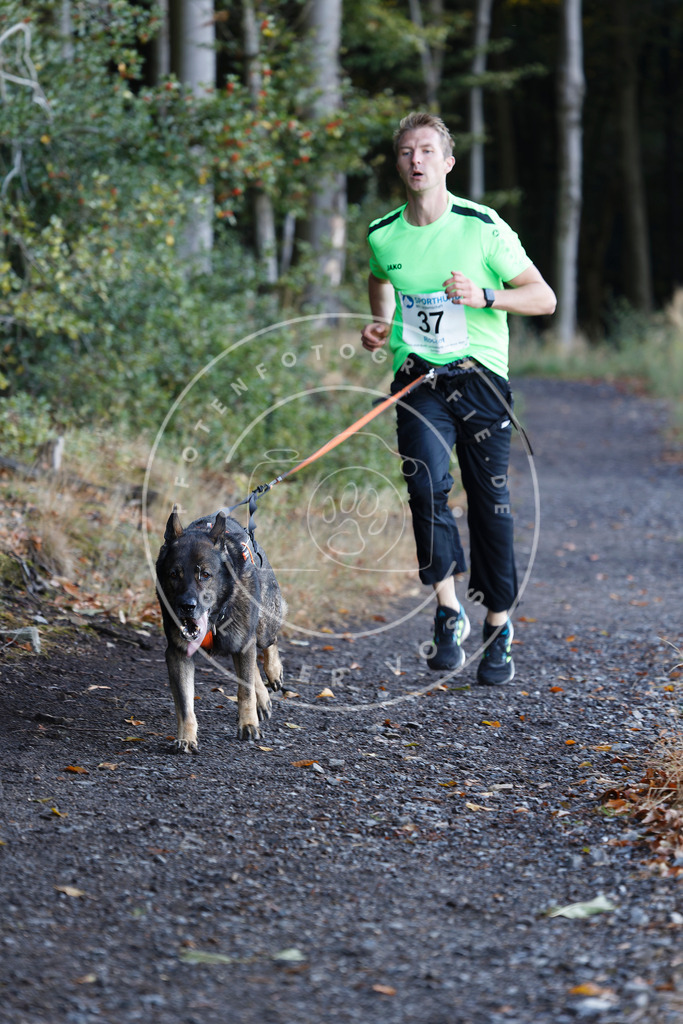 0L8A1631 | Hundefotografie, Tierfotograf, Pfotenfotografie, Fotoshooting Hund, Hunde Portrait, Hundesport, Hundeportraits, Heideshooting, Hunde, Sportfotograf, Hundefotograf, Turnierhundsport, THS,  - Realisiert mit Pictrs.com