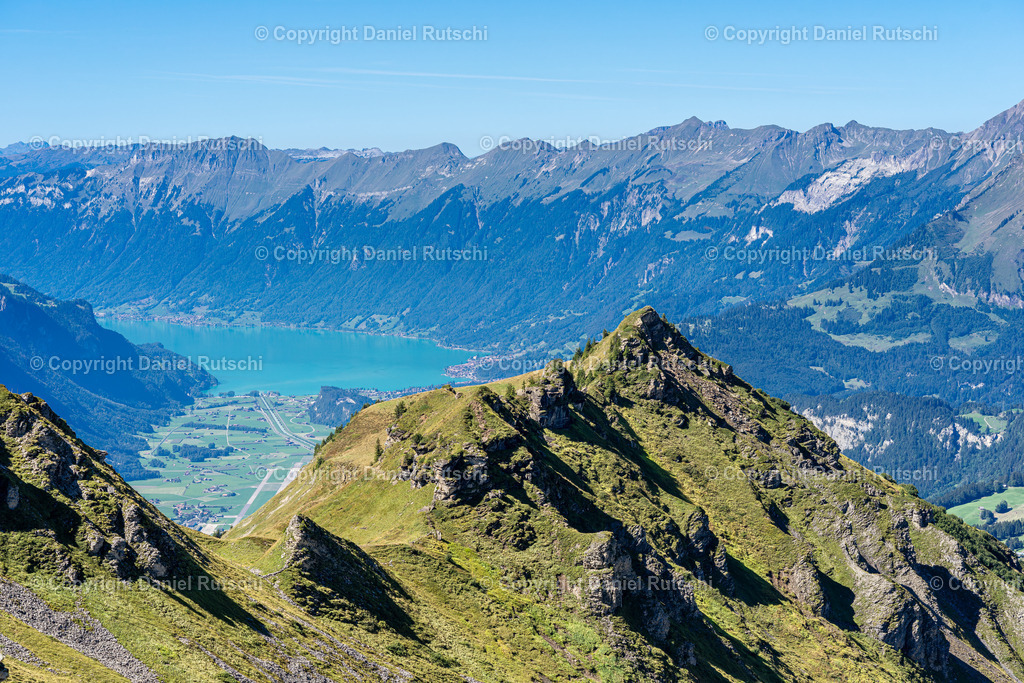 _DSC7564-Verbessert-RR | rutschi_photography - Realisiert mit Pictrs.com