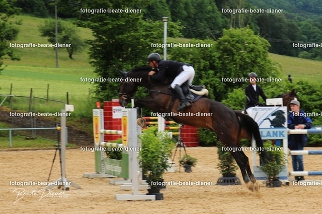 OHT0181 | Fotografie, Tiere, Hunde, Katzen, Pferde, Sportfotografie, Fotosession, Tierfotografie, Turnierfotografie, Fotografin, Fotograf - Realisiert mit Pictrs.com