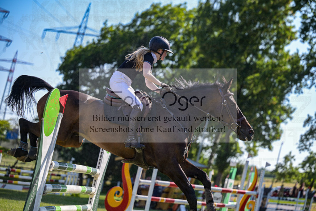 Reitturnier Voxtrup | Entdecke hochwertige Reitturnierfotos von Foto Oger. Professionell, emotional und authentisch – jetzt Lieblingsmomente im Shop bestellen.Deutschlandweite Turnierfotografie. - Realisiert mit Pictrs.com