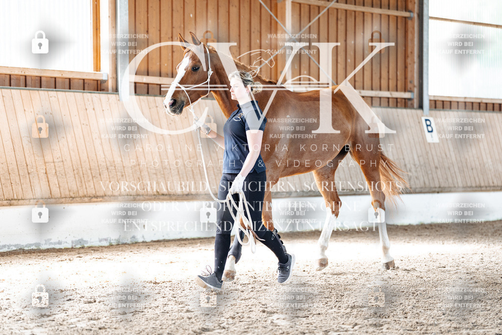CK906075 | Turnierfotografie Pferdefotografie Trier Rheinland-Pfalz Pferdesport Reitsport Tierfotografie Sportfotografie Pferdevideo Pferdevideografie Equestrianvideography equestrianphotography  - Realisiert mit Pictrs.com