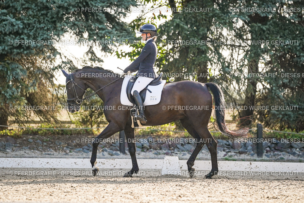 DSC08196 | Pferdegrafie