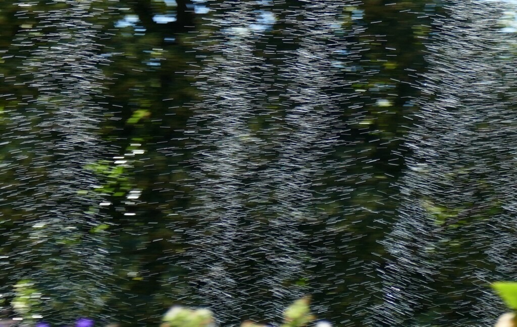 P3760173_a | Annaeherungen - Realisiert mit Pictrs.com