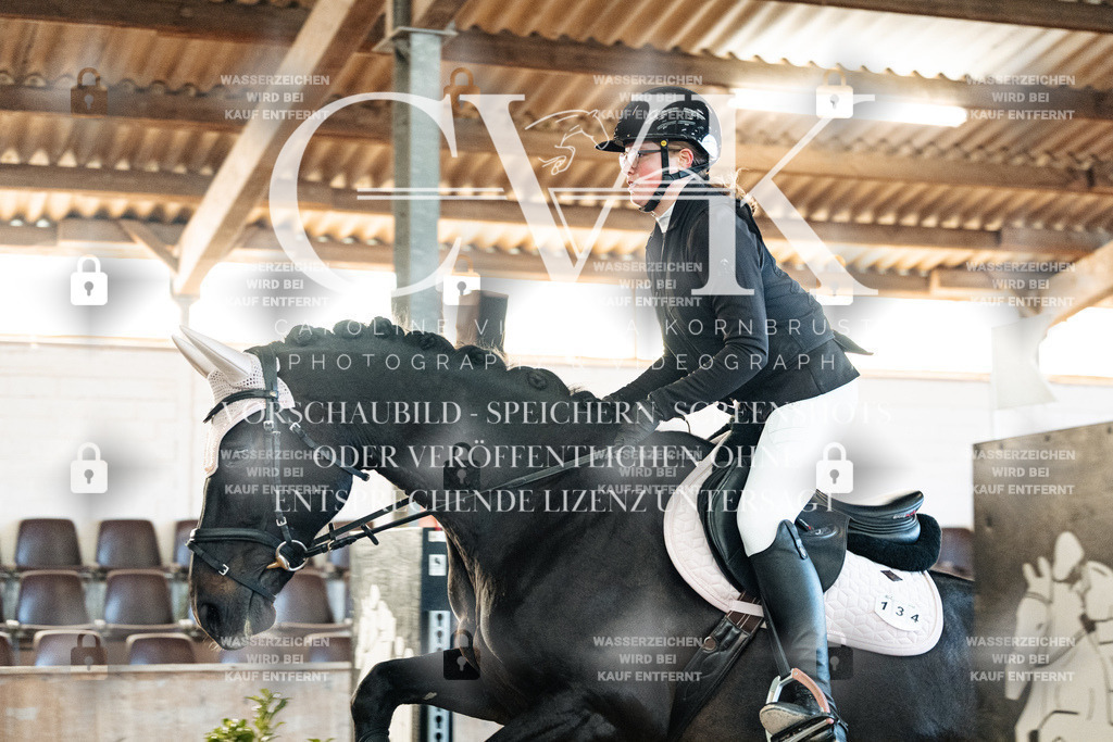 CK903979 | Turnierfotografie Pferdefotografie Trier Rheinland-Pfalz Pferdesport Reitsport Tierfotografie Sportfotografie Pferdevideo Pferdevideografie Equestrianvideography equestrianphotography  - Realized with Pictrs.com