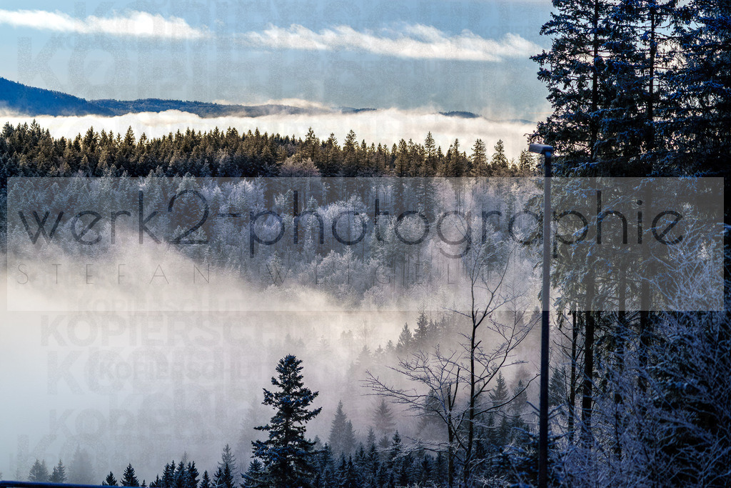 DP ARBER | 6. DSV JOKA Deutschlandpokal Biathlon im ARBER Hohenzollern Skistadion vom 23. - 25. Februar 2024