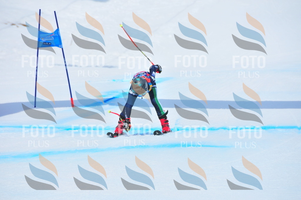 DSC_6075 | holidayphoto