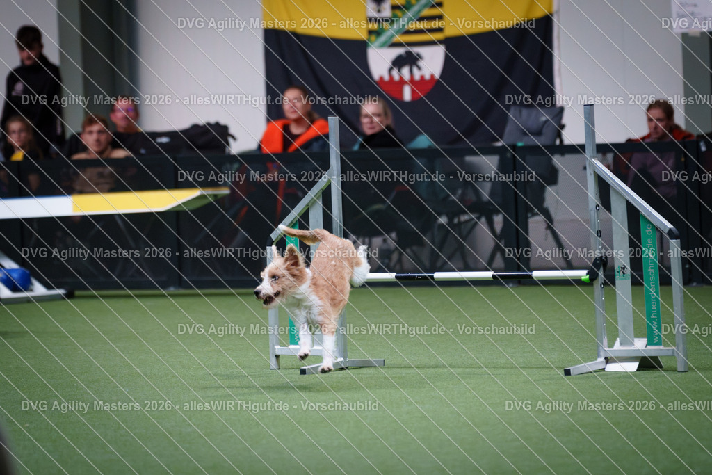 allesWIRTHgut_Tierfotografie-DVG_Agility_Masters_2026-15_05-7R506104 | Professionelle Tierfotografie in Mönchengladbach von Daniel Wirth (allesWIRTHgut). Liebevolle & natürliche Bilder von Hunden & Katzen für unvergessliche Erinnerungen.