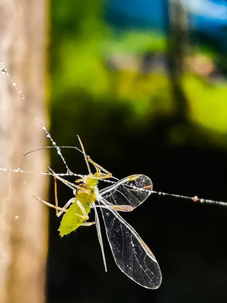 PSX_20220921_223518 | mtkfoto_ - Realisiert mit Pictrs.com