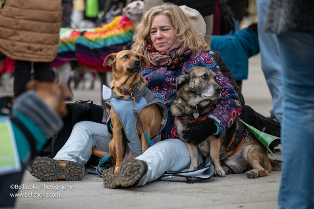 Galgomarsch2026-176 | Augenblicke kommen und gehen, Erinnerungen bleiben. Als Tierfotografin schaffe ich liebevolle Erinnerungen an unsere tierischen Familienmitglieder, ohne Stress und Druck.
Buchbar für den Raum München und Landkreis Dachau  - Realisiert mit Pictrs.com