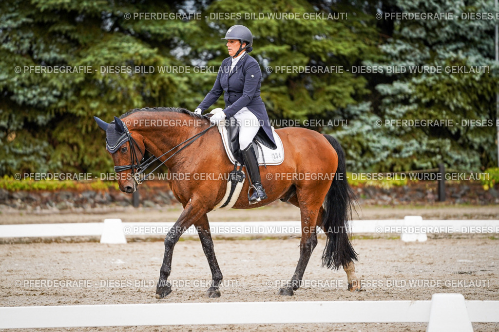 DSC09699 | Pferdegrafie