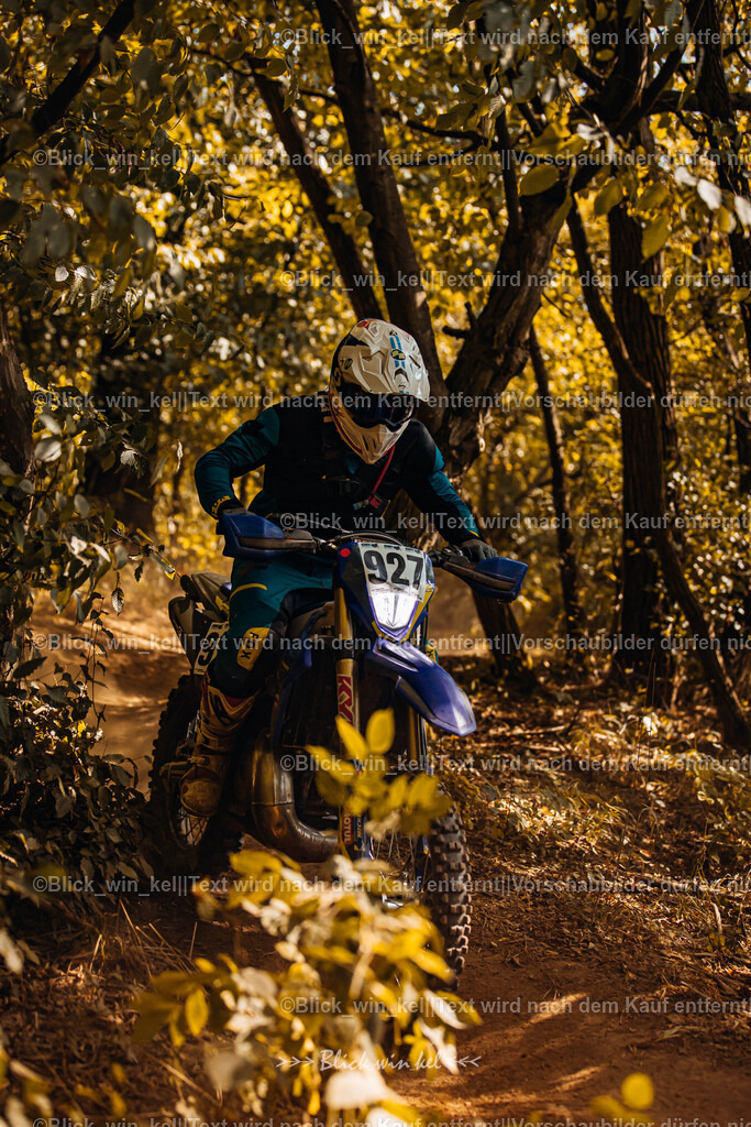 E68A5936 | blick_win_kel