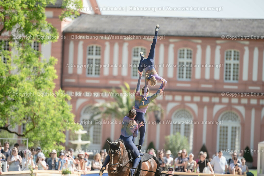 20230528_Voltigieren_NASPA_0502 | equistock