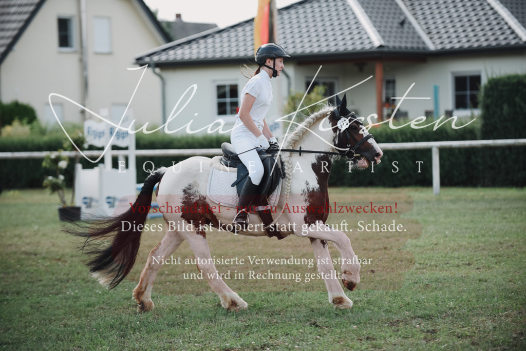 DSC_5645 | Pferde- und Turnierfotografie in Westsachsen. Pferdeportraits, Auftragszeichnungen und intuitive Kunst.