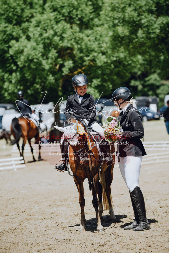 DSC_2685 | Pferde- und Turnierfotografie in Westsachsen. Pferdeportraits, Auftragszeichnungen und intuitive Kunst.