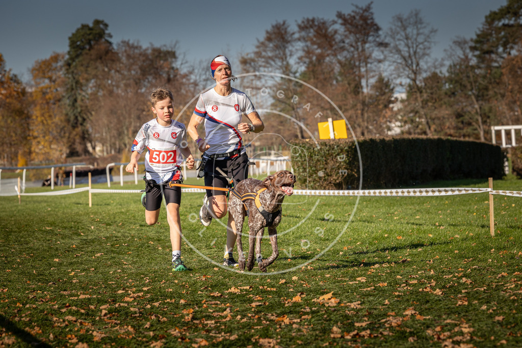 CaniXpix_0L8A6657 | Hundefotografie, Tierfotograf, Pfotenfotografie, Fotoshooting Hund, Hunde Portrait, Hundesport, Hundeportraits, Heideshooting, Hunde, Sportfotograf, Hundefotograf, Turnierhundsport, THS,  - Realisiert mit Pictrs.com