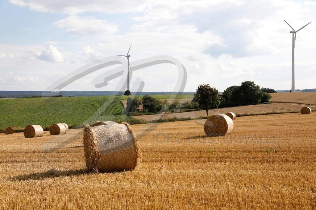 AgrarArt-STROHFELD_2821 | #002 | Modell: Fee | Foto: Tschiponnique Skupin - Realisiert mit Pictrs.com