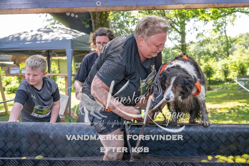 1426_ZZ94106 | kk-dogfotos