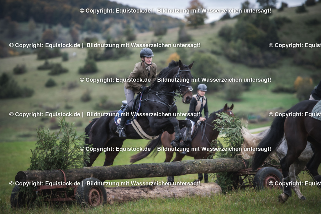 20241013_Jagd-Marbach_0231 | Foto: Thomas Hartig