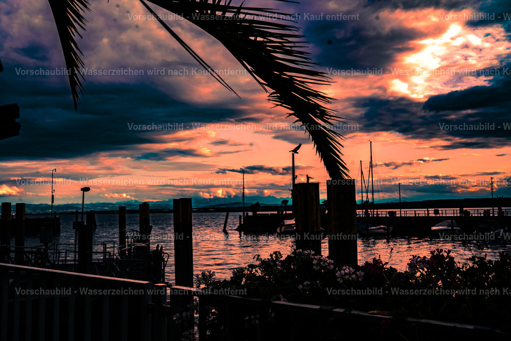 DSC00070-2 | marcuslinek