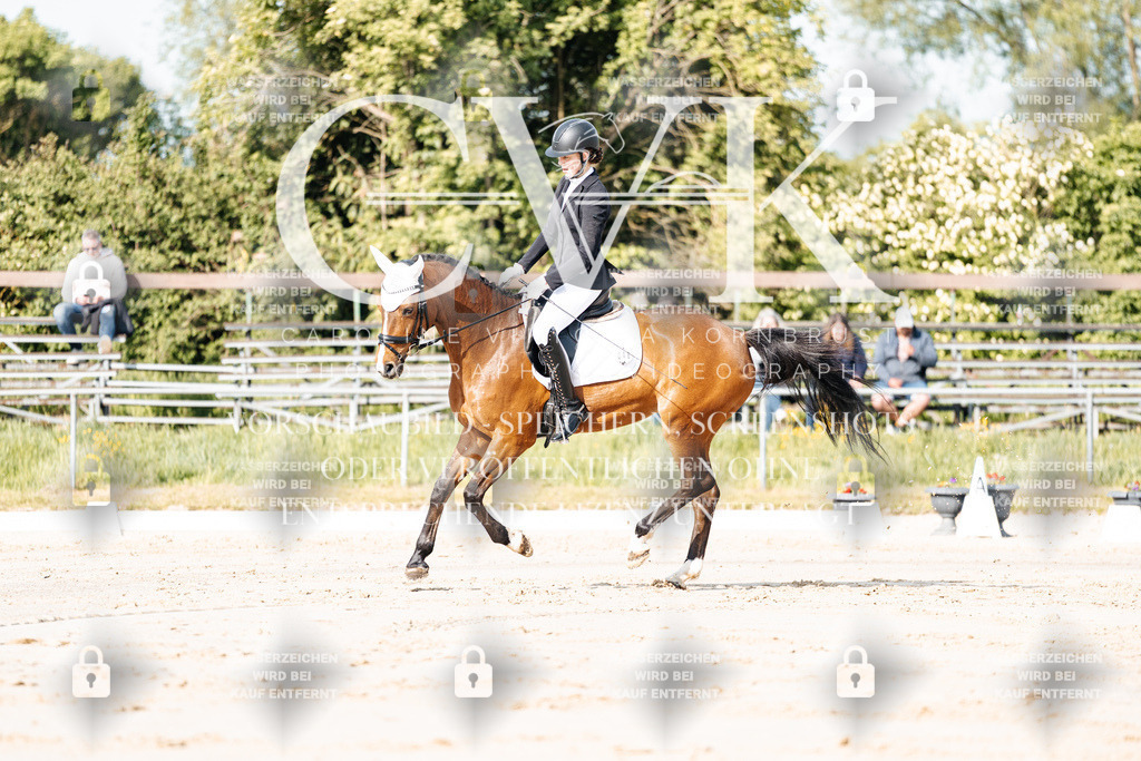 CK900074 | Turnierfotografie Pferdefotografie Trier Rheinland-Pfalz Pferdesport Reitsport Tierfotografie Sportfotografie Pferdevideo Pferdevideografie Equestrianvideography equestrianphotography  - Realisiert mit Pictrs.com