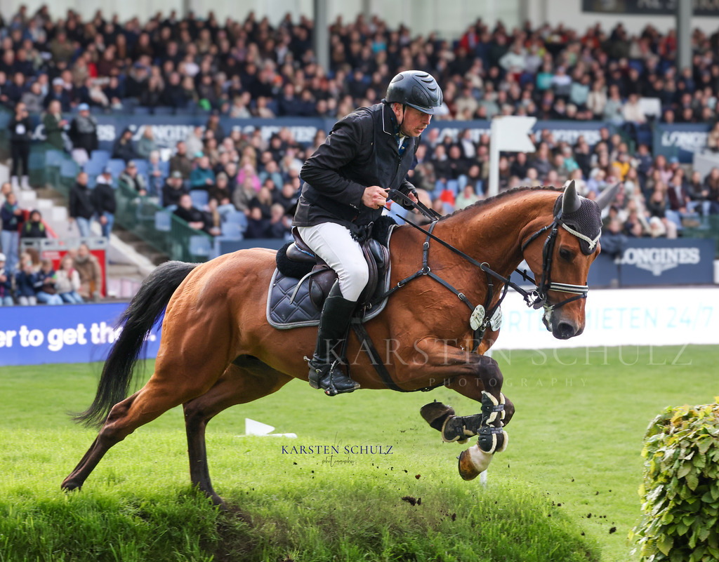 1B3A4846 | Reitsport Reiten
