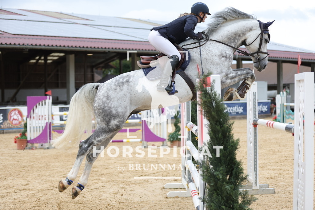 0P6A8764 | Willkommen bei Brunnmayr - Design & Fotografie – Ihrem Spezialisten für Reitturniere und Pferdeveranstaltungen in Oberösterreich, Salzburg und Bayern! Seit über 17 Jahren sind wir leidenschaftlich dabei.