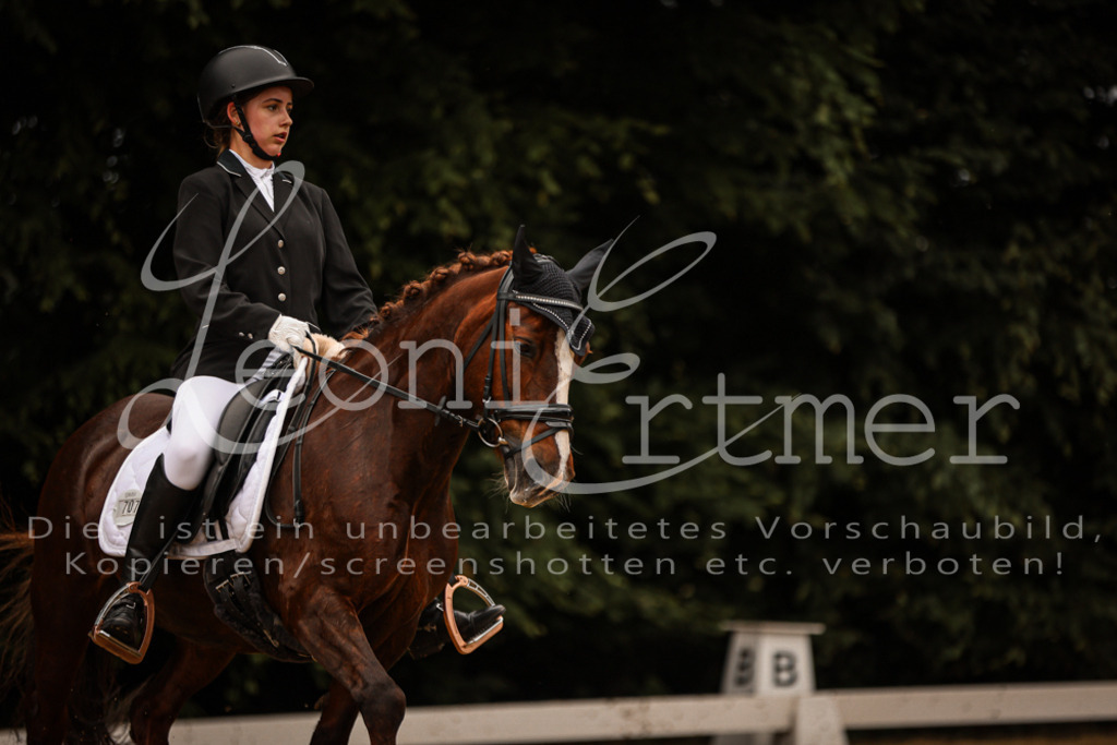 DoDrE00260 | Leoni Ertmer Photography - Realisiert mit Pictrs.com