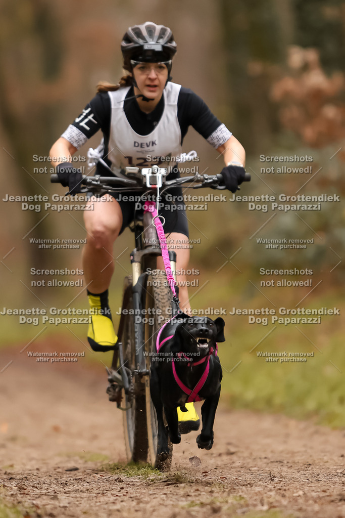 Dog Paparazzi - Speedhunter Mannheim  2025-343 | Dog Paparazzi Jeanette Grottendiek Fotografie & Videografie