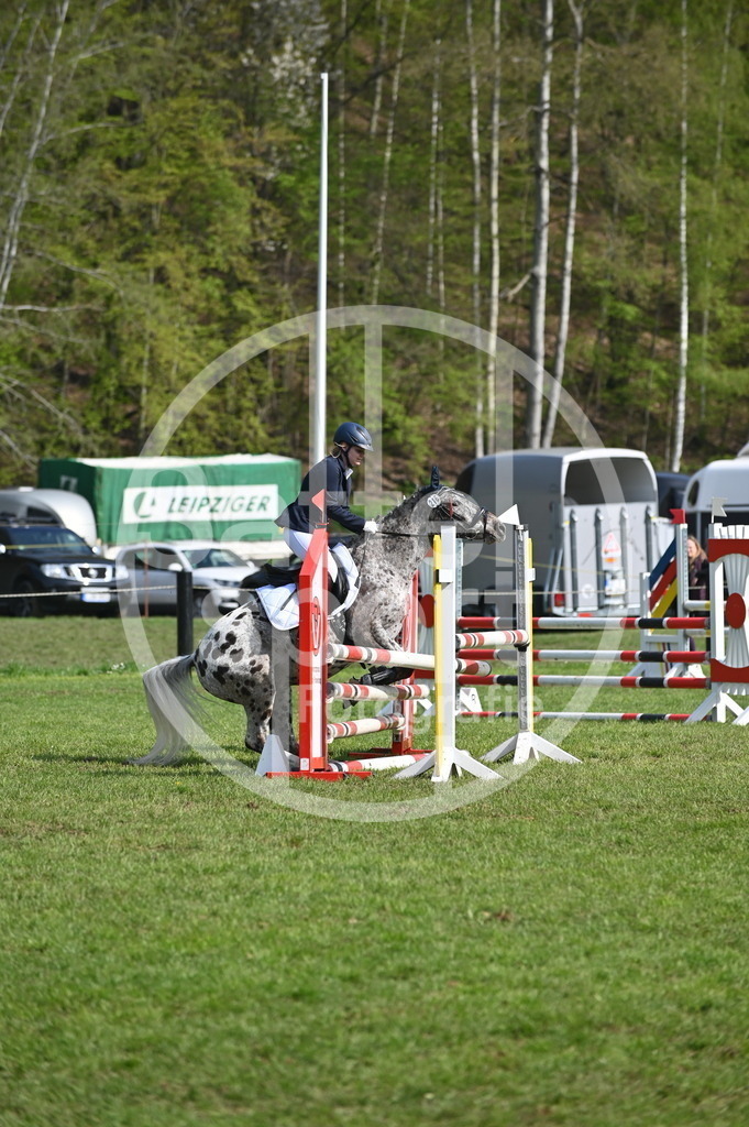 DSC_0848 | sattelsport - Realisiert mit Pictrs.com